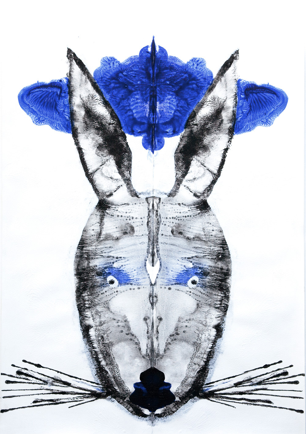 Rabbit 32